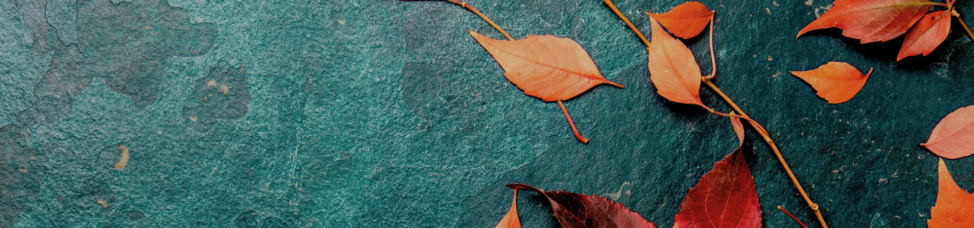 cover-image