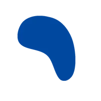 LP Company color styling element