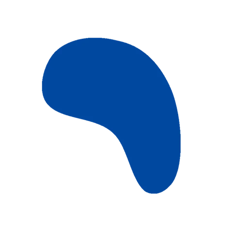 LP Company color styling element