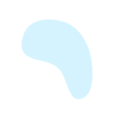 LP Company color styling element