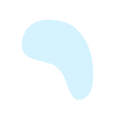 LP Company color styling element