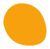 LP Company color style element